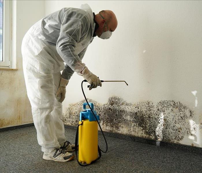 Image of a person with proper clothing removing black mold from white wall. 