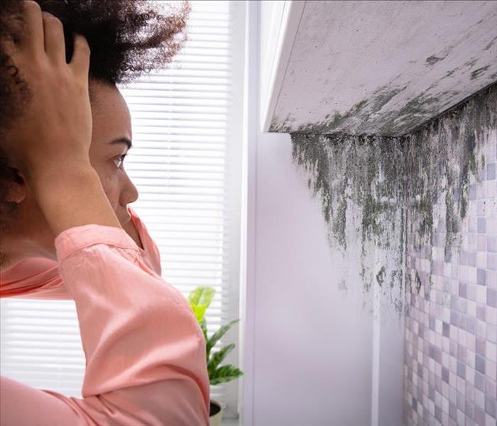Image of a person with her hands on her head and seeing astonished how black mold in growing in her home. 