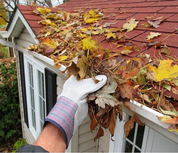 Professional inspecting and Cleaning Gutters