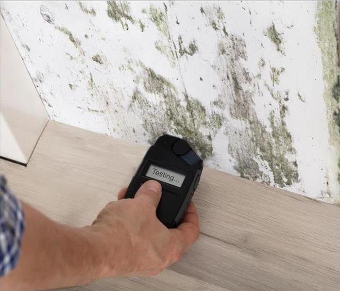 Image of someone testing for mold