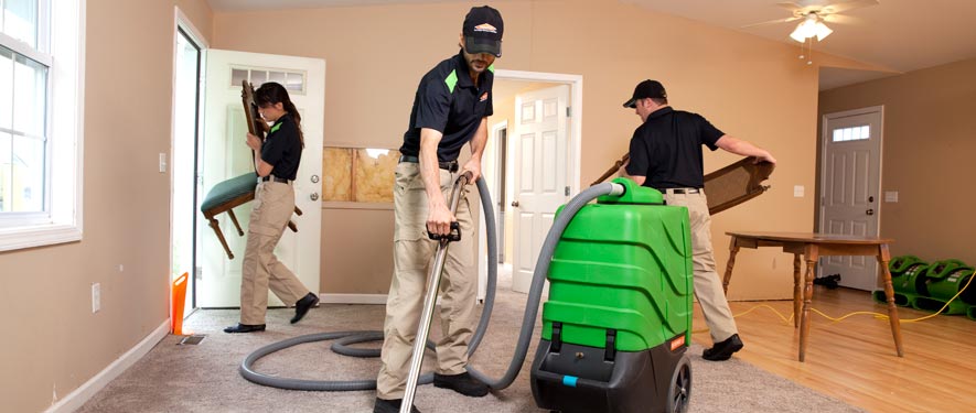 Layton, UT cleaning services